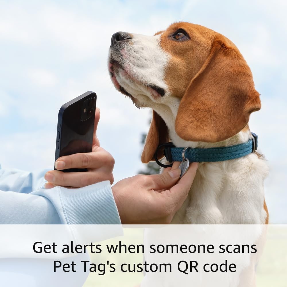 Ring Pet Tag | Easy - to - use tag with QR code - All That Technology
