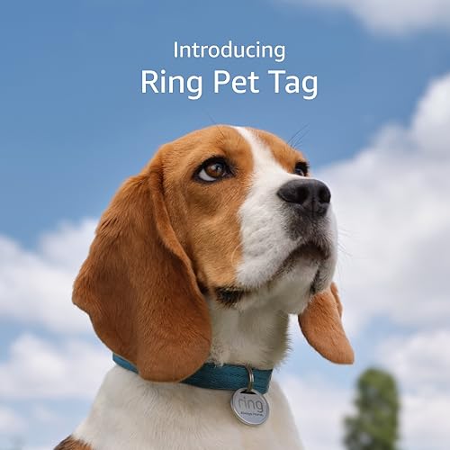 Ring Pet Tag | Easy - to - use tag with QR code - All That Technology